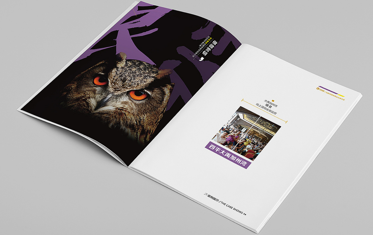 廣州畫(huà)冊設計之it企業(yè)畫(huà)冊設計