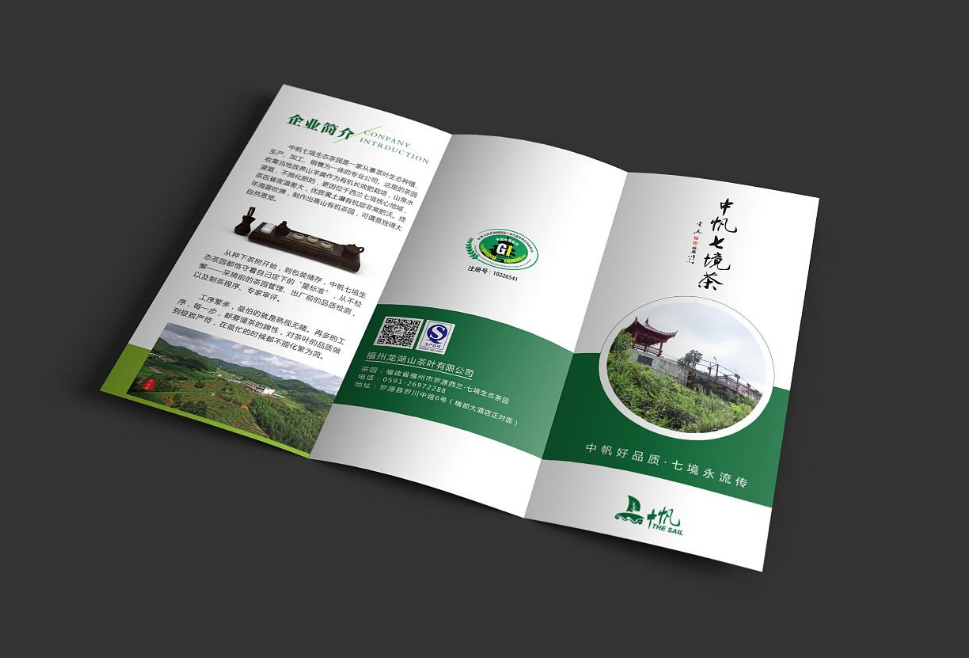 東莞企業(yè)宣傳三折頁(yè)設計