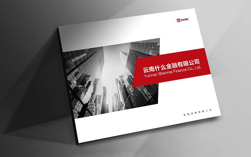 金融企業(yè)投資公司畫(huà)冊設計【什么金融】