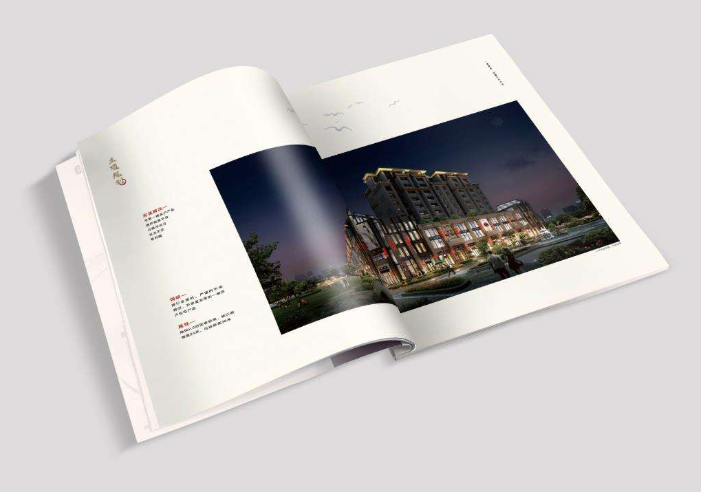 東莞專(zhuān)業(yè)畫(huà)冊設計